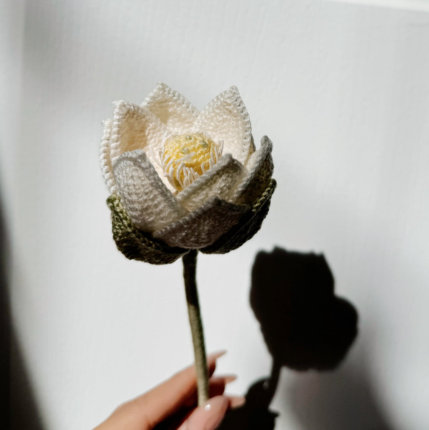 White Lotus
