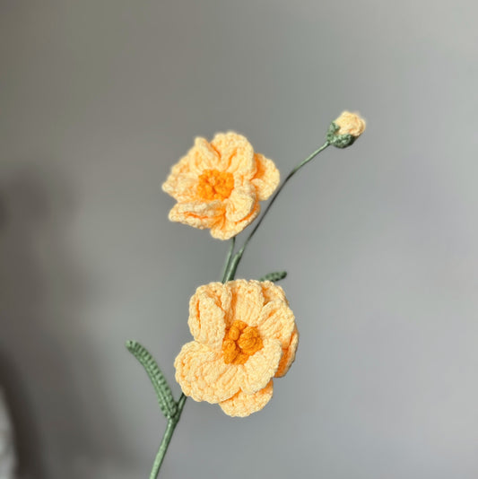Yellow Butterfly Ranunculus