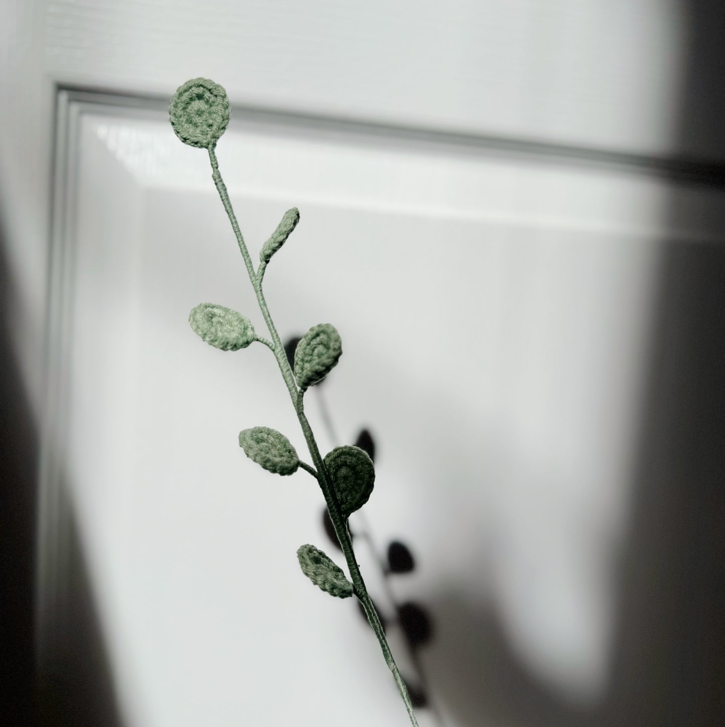 Eucalyptus