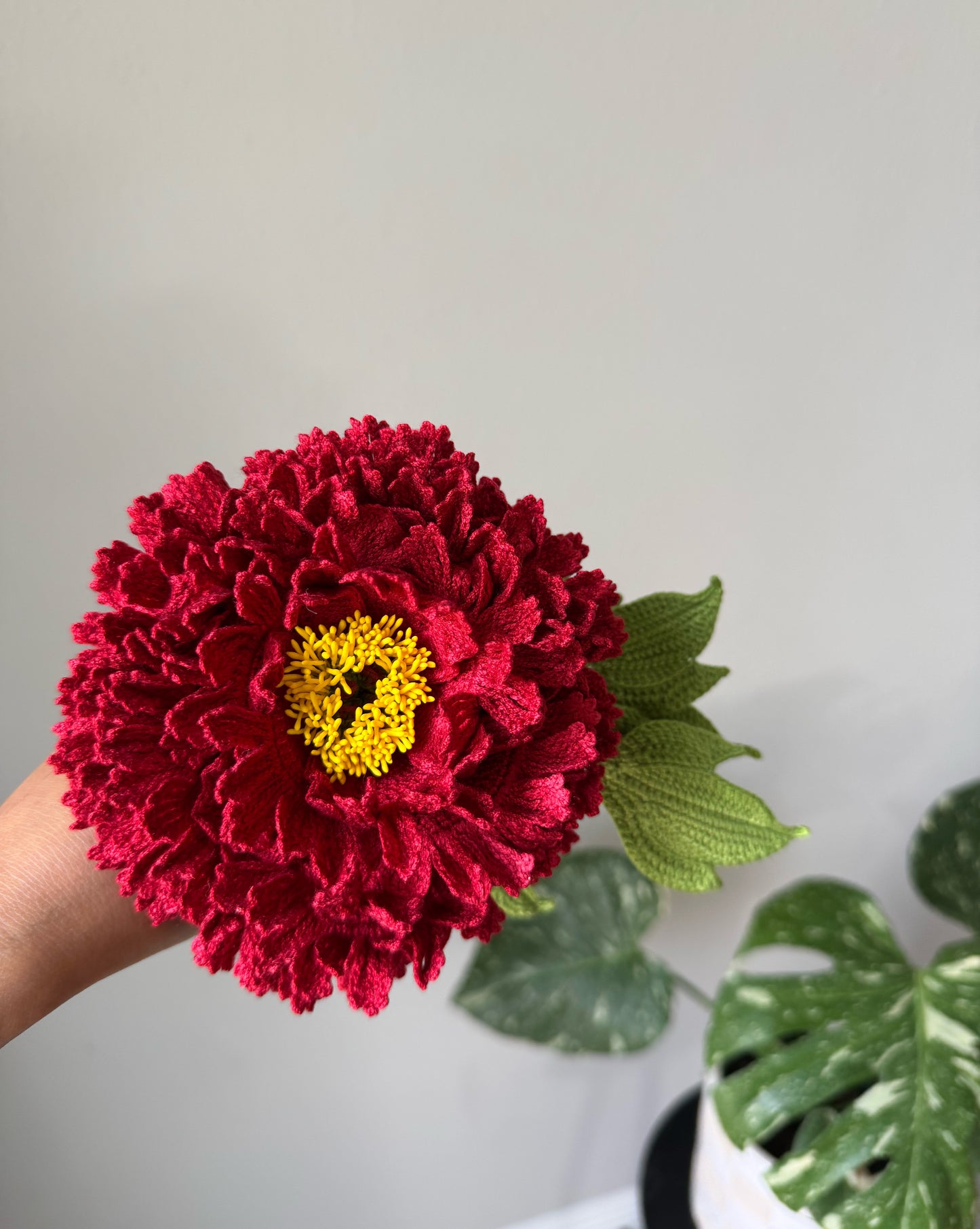 Detailed Rich Red Peony