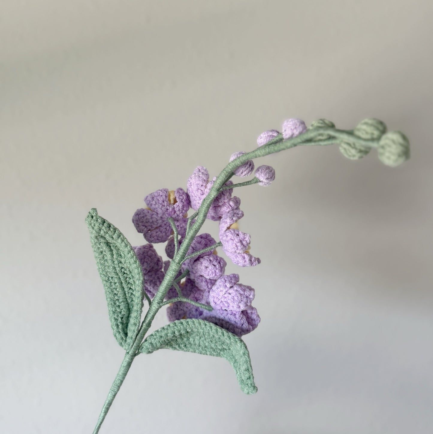 Larkspur
