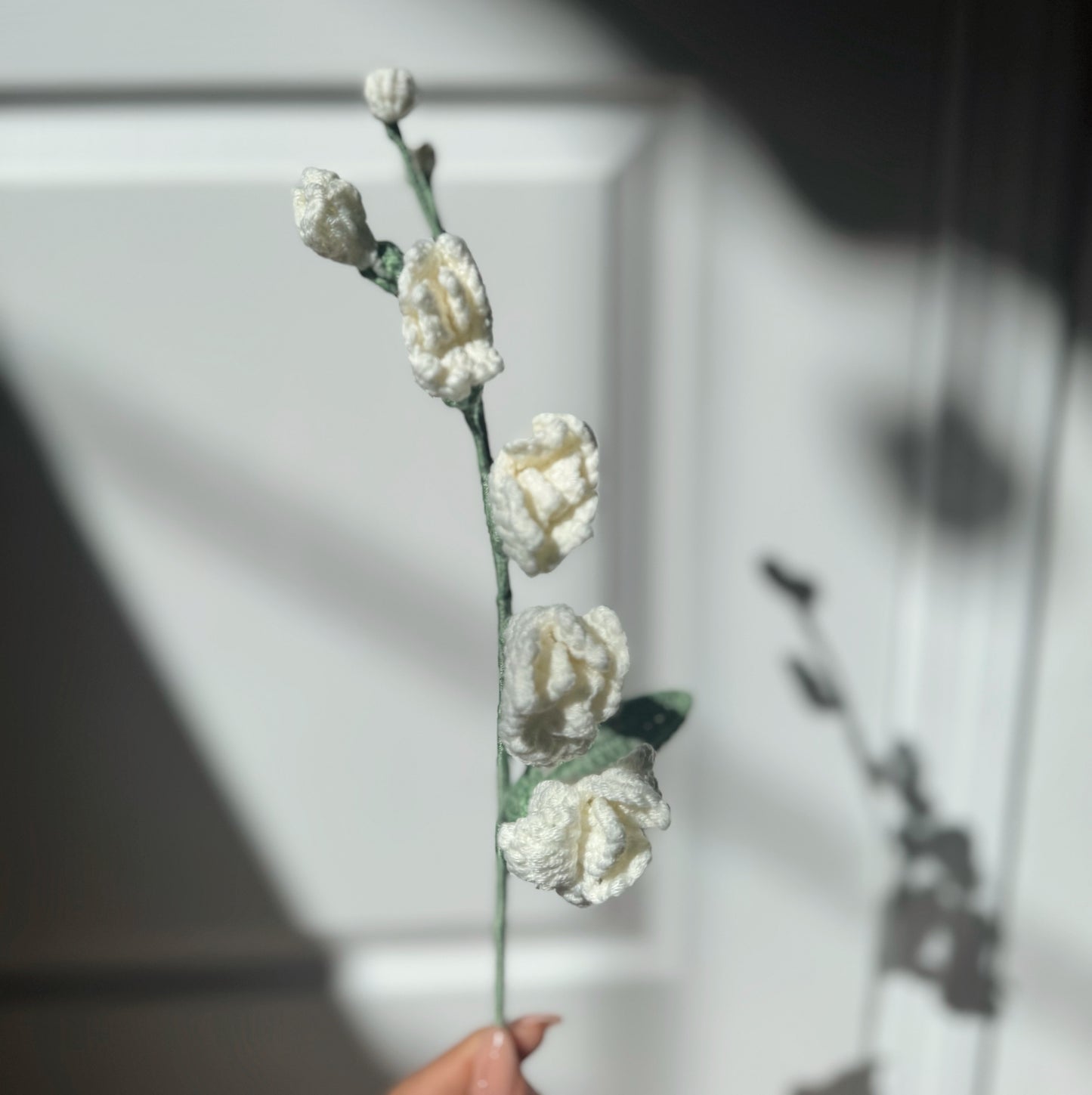 White Freesia
