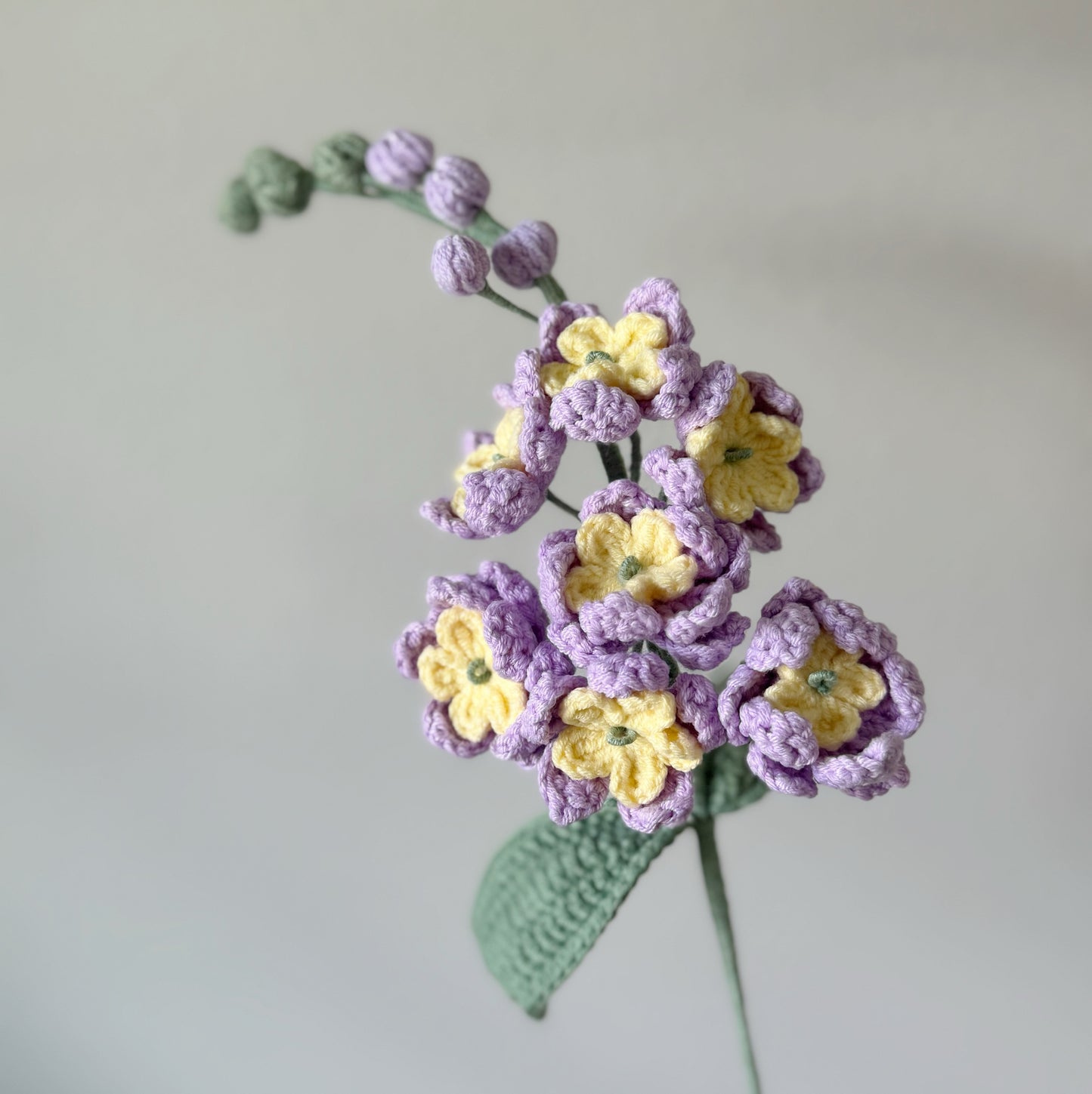 Larkspur