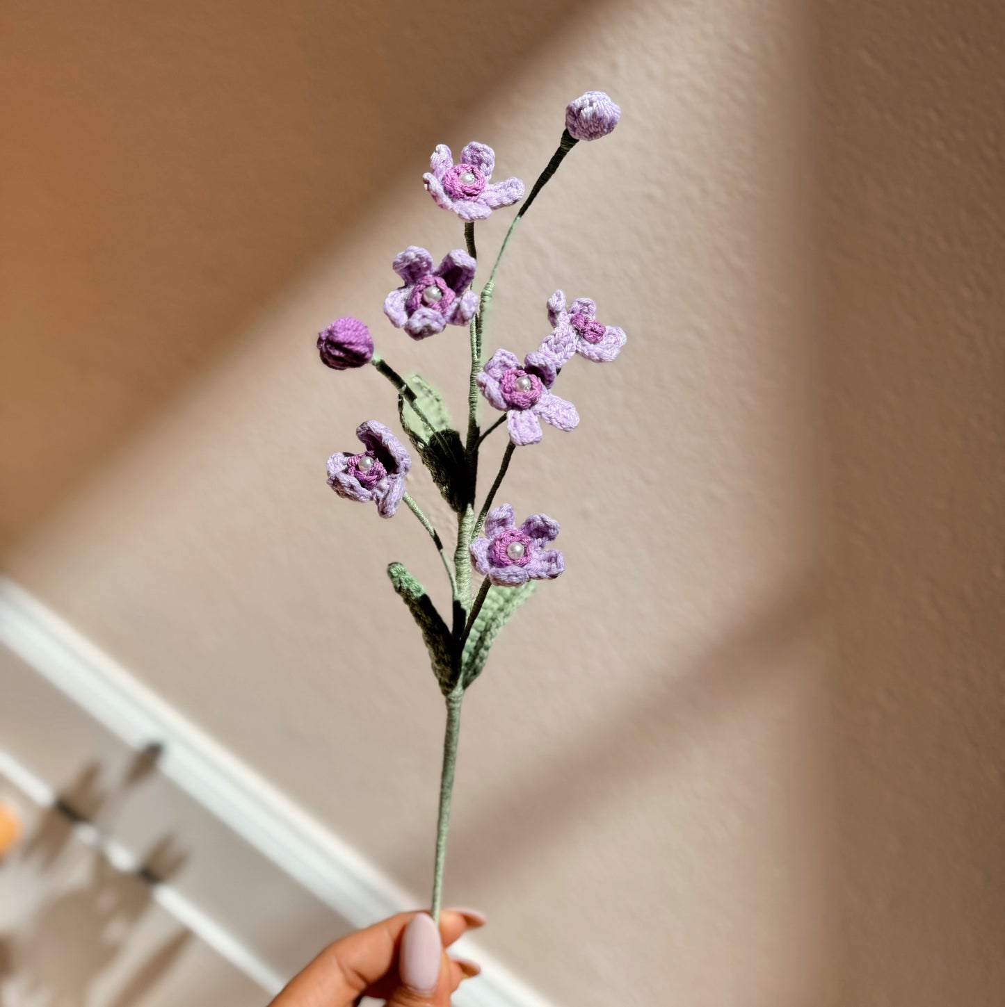 PURPLE OXYPETALUM