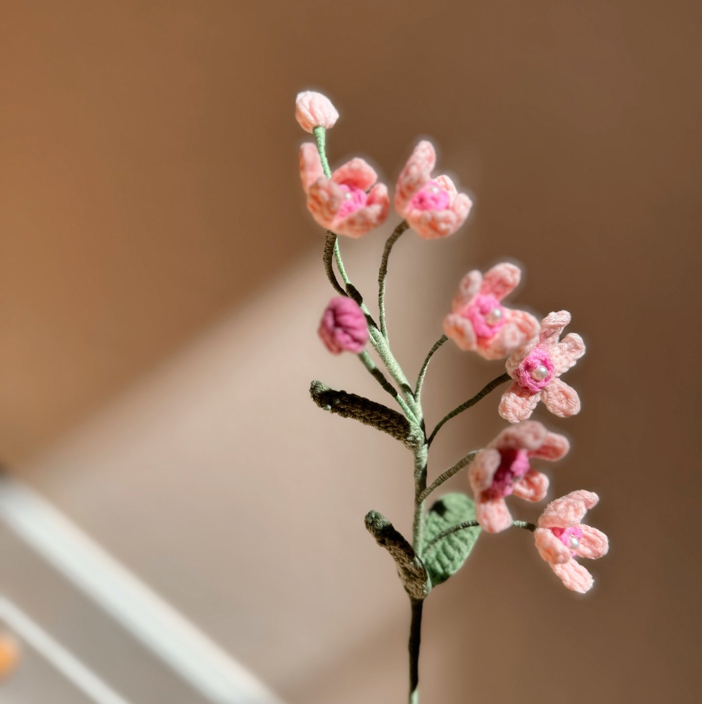 PINK OXYPETALUM