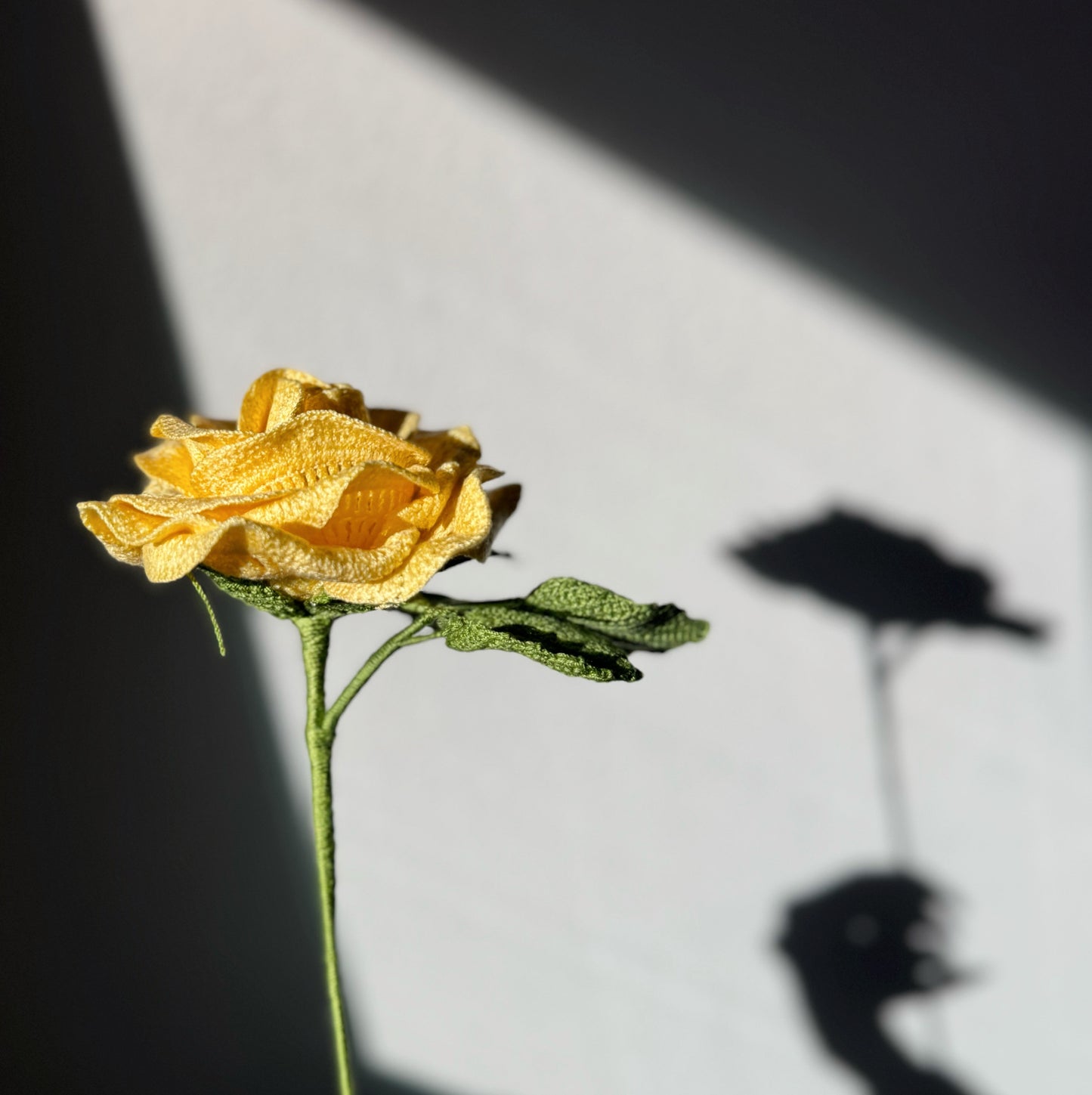 Detailed Yellow Rose