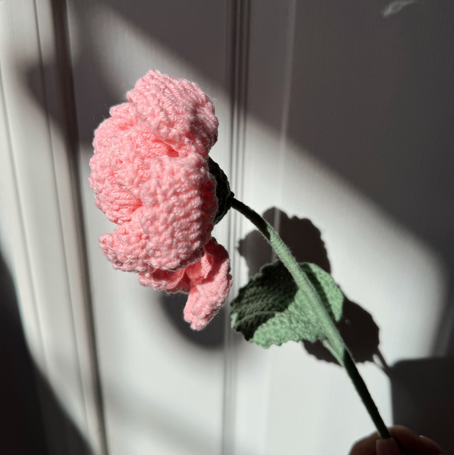 Pink Peony