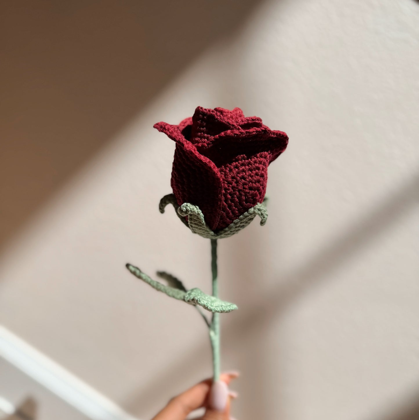 RED WINE ROSE