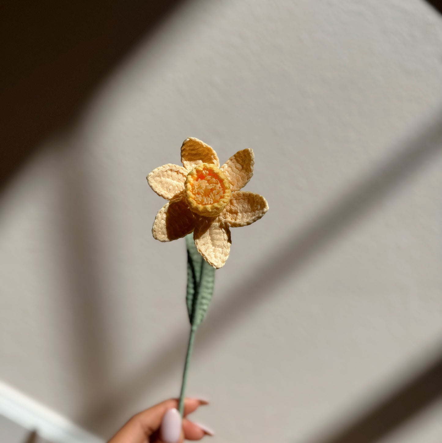 YELLOW DAFFODIL