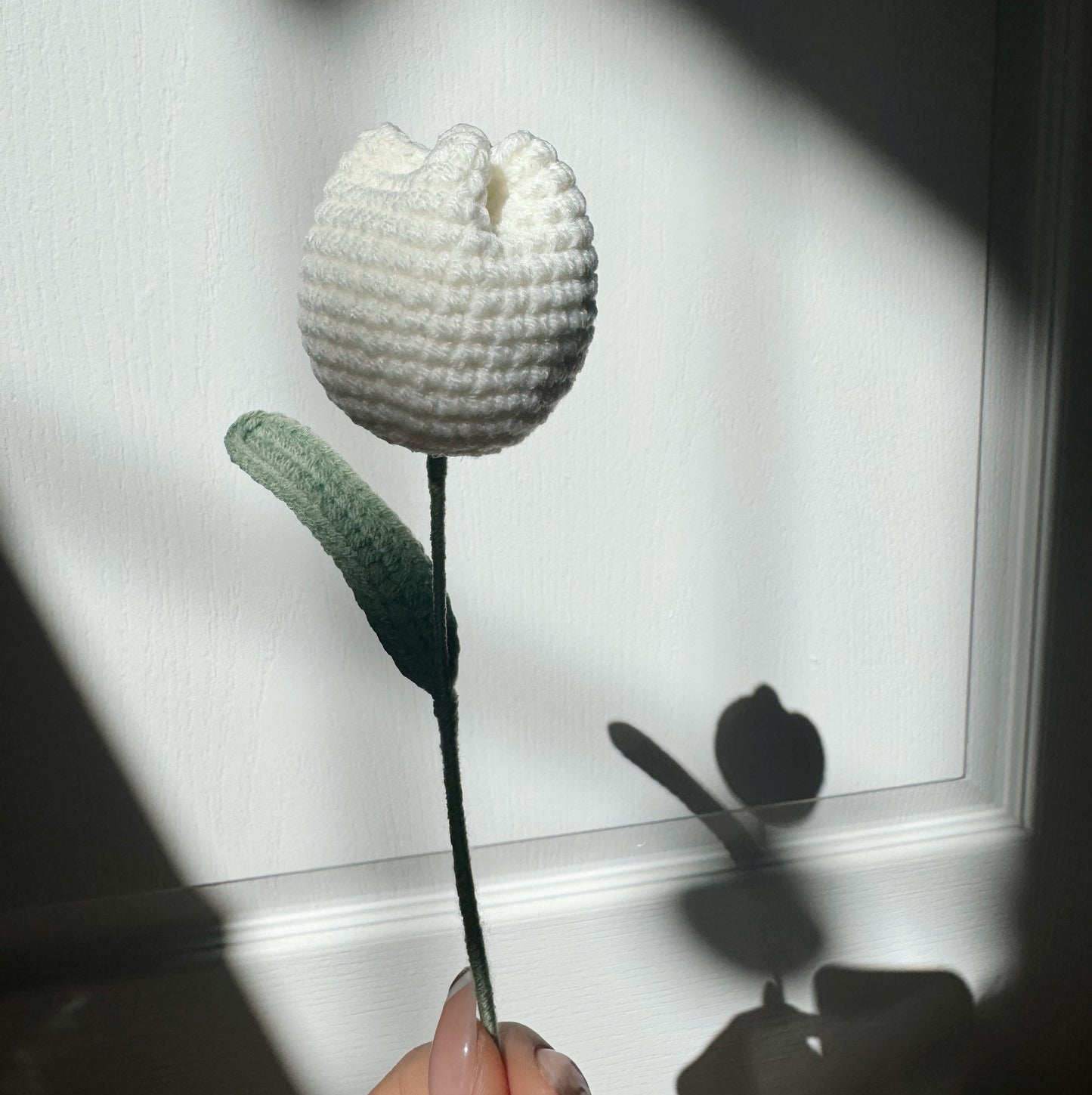 TULIP