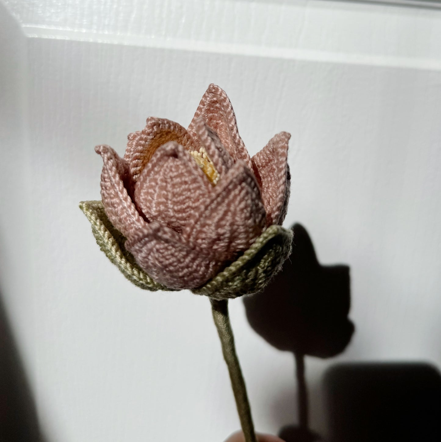 Pink Lotus