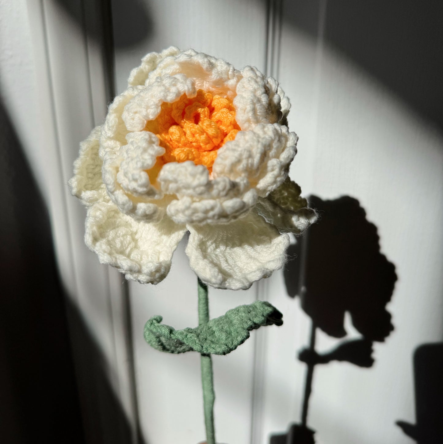 White Peony