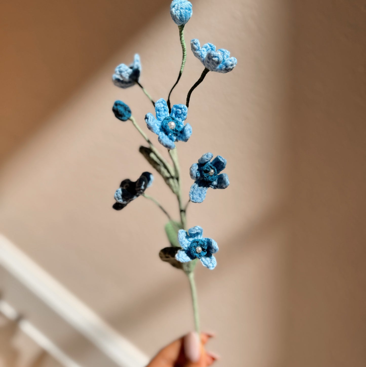 BLUE OXYPETALUM