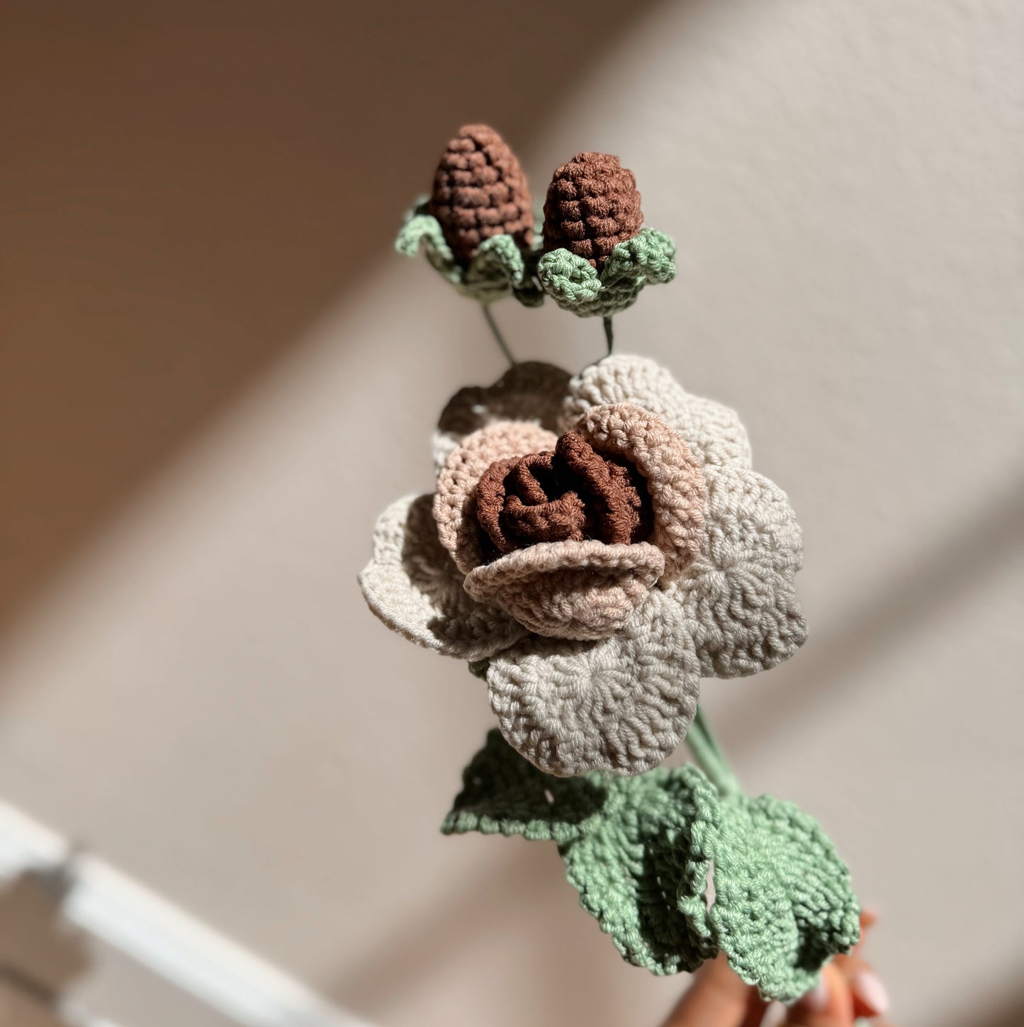 NEUTRAL OMBRÉ ROSE