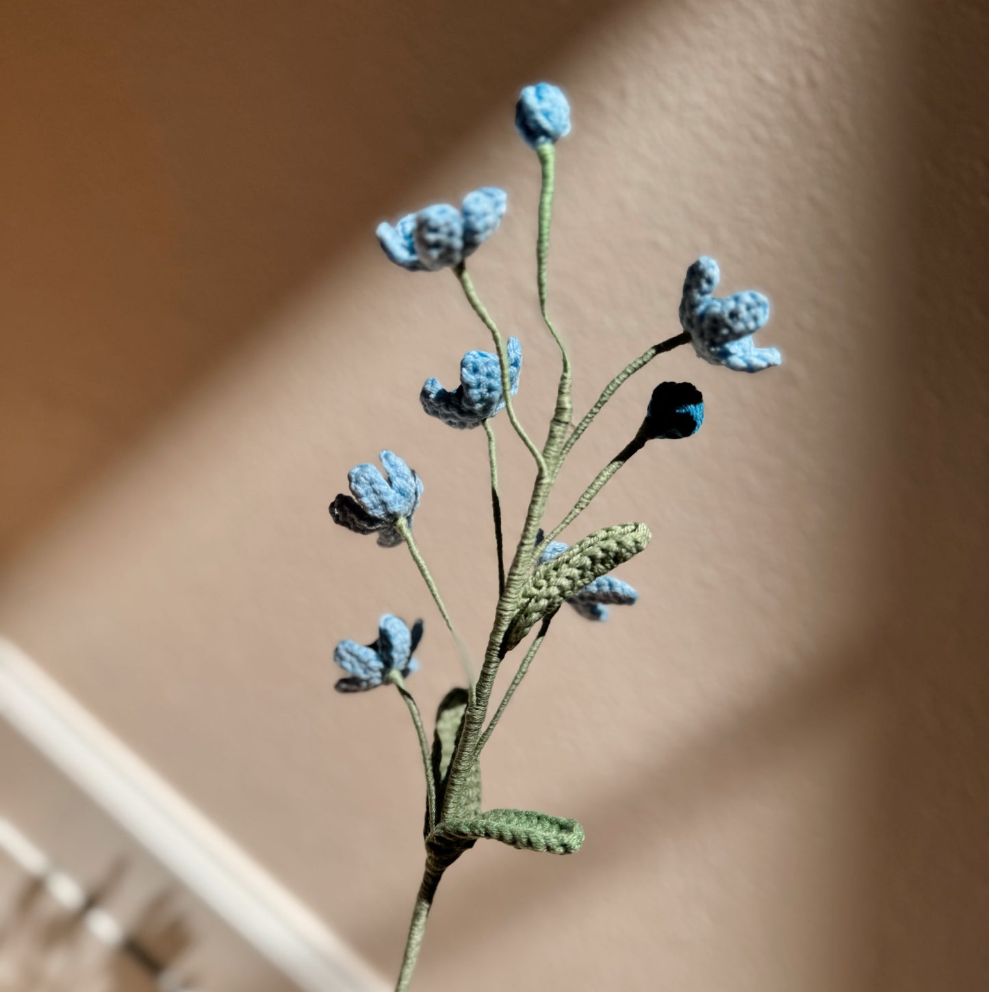 BLUE OXYPETALUM