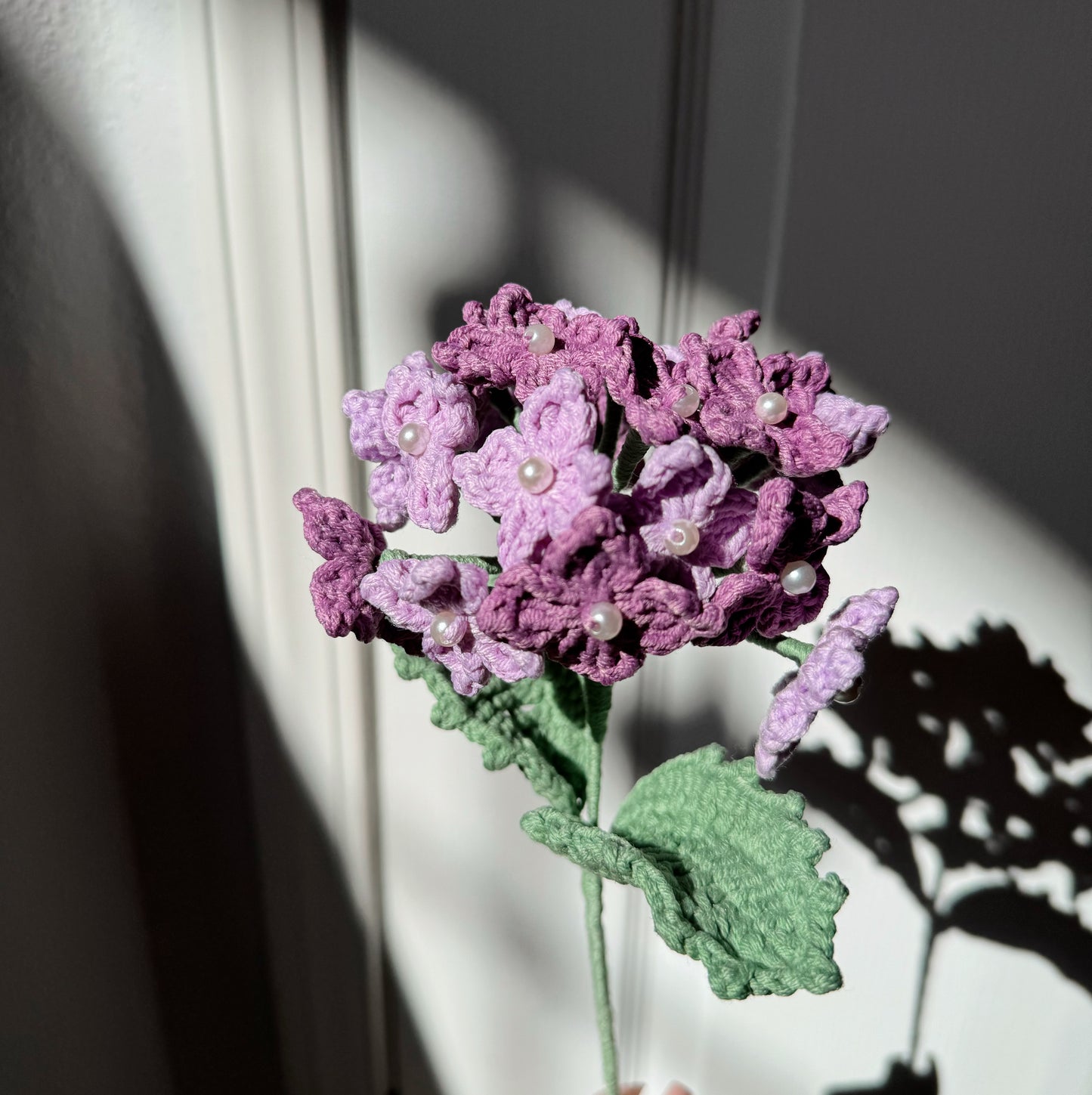 PURPLE HYDRANGEA