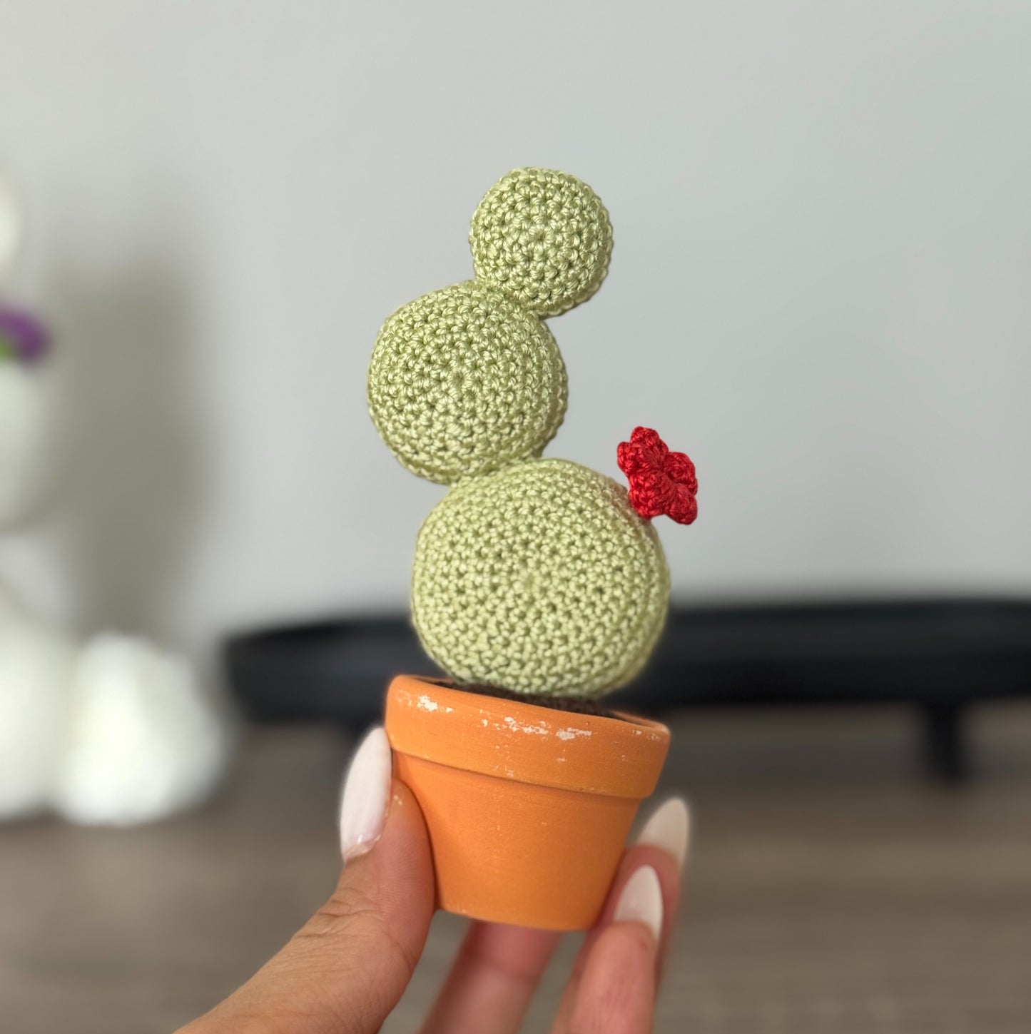 03 Cactus in the pot