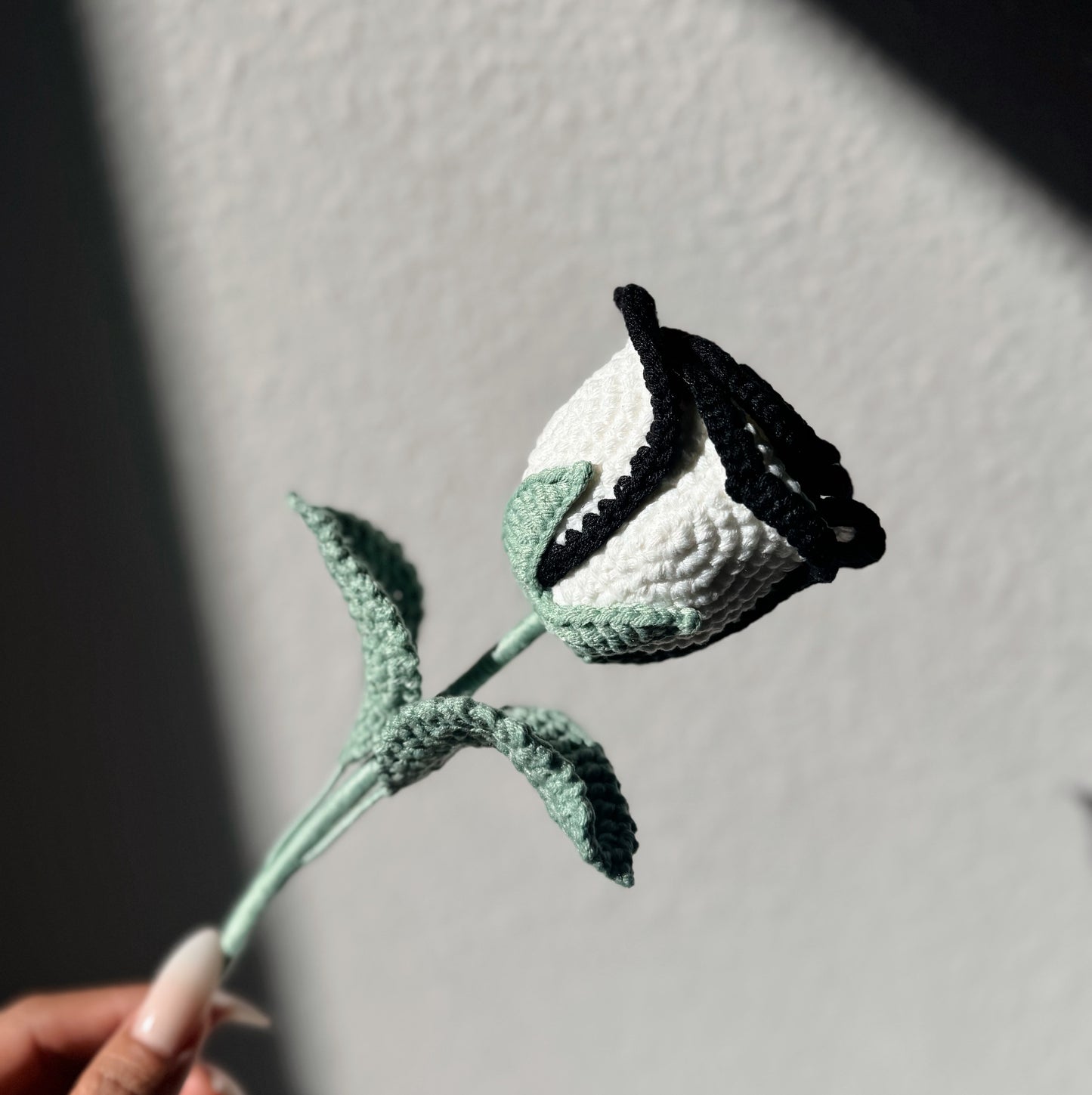 Monochrome Edge Rose