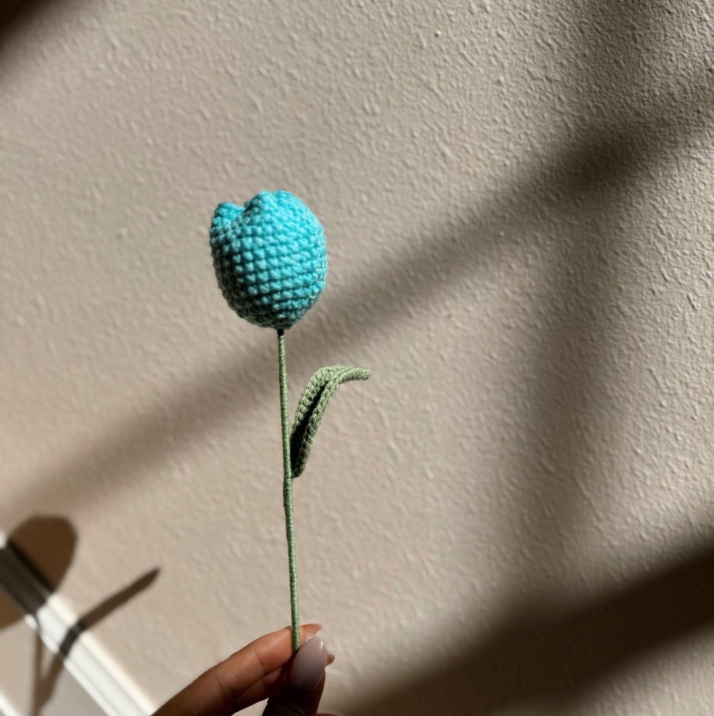 TULIP