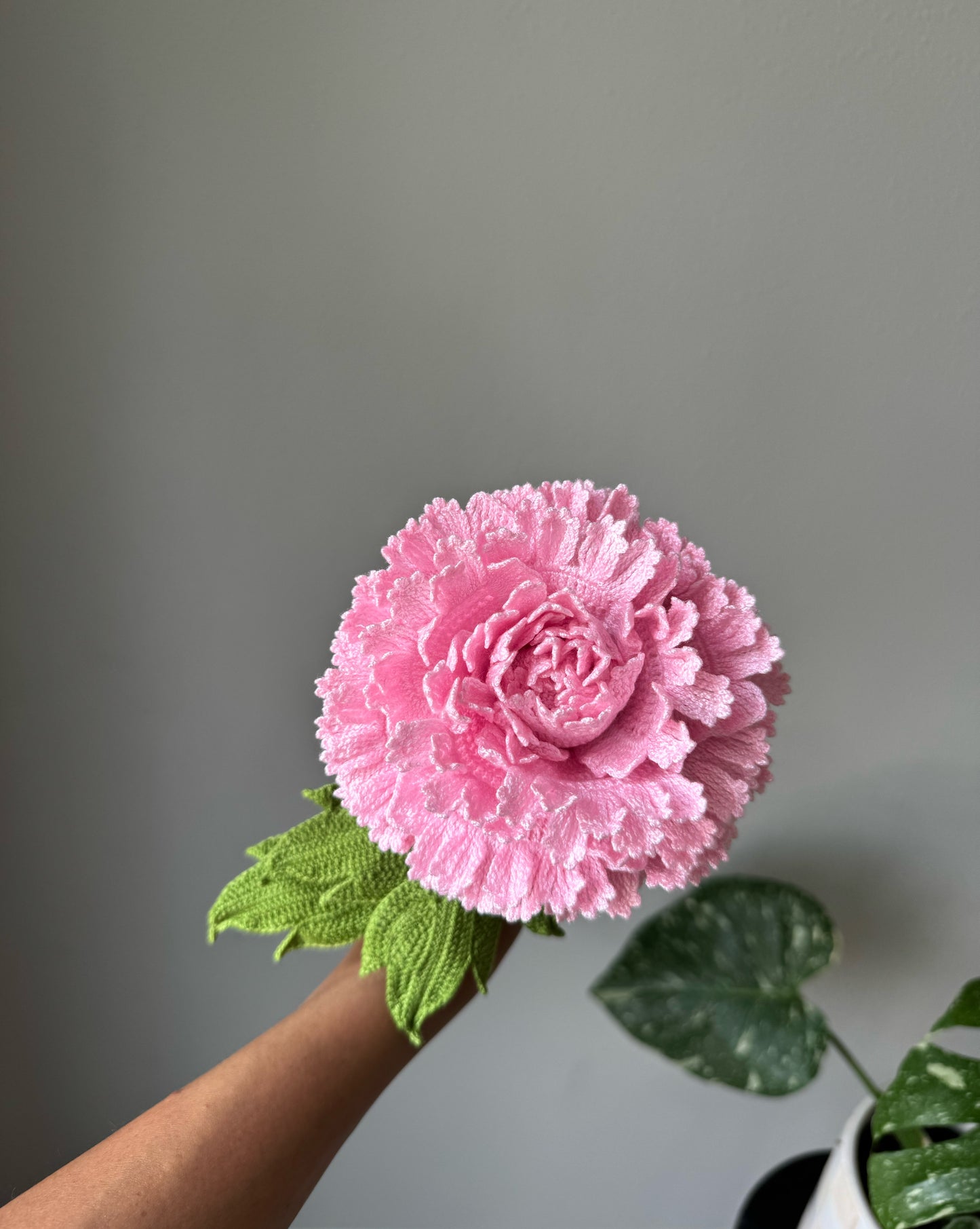 Detailed Large Pink Peony