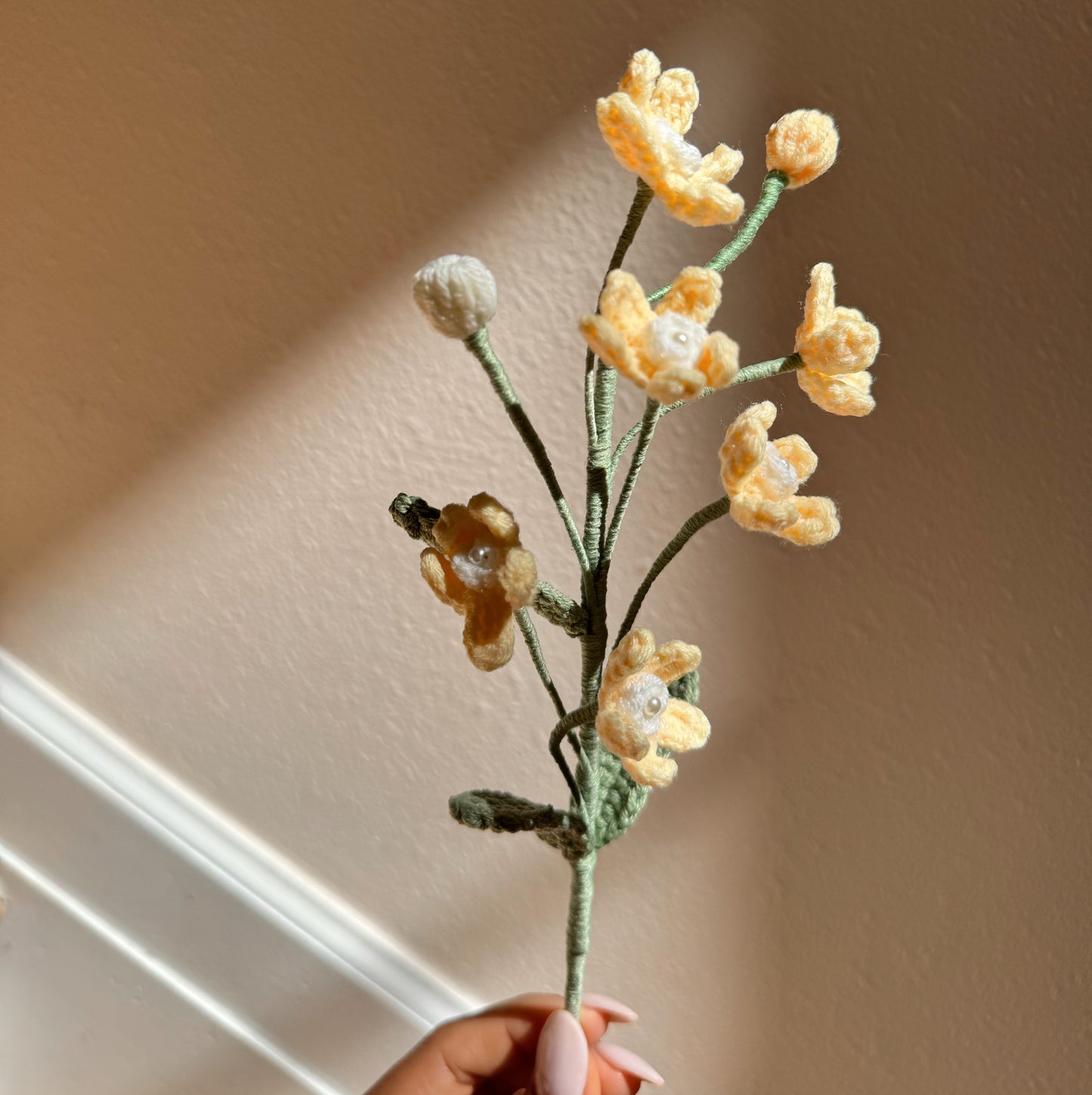 YELLOW OXYPETALUM