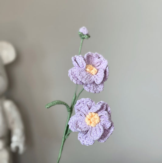 Purple Butterfly Ranunculus