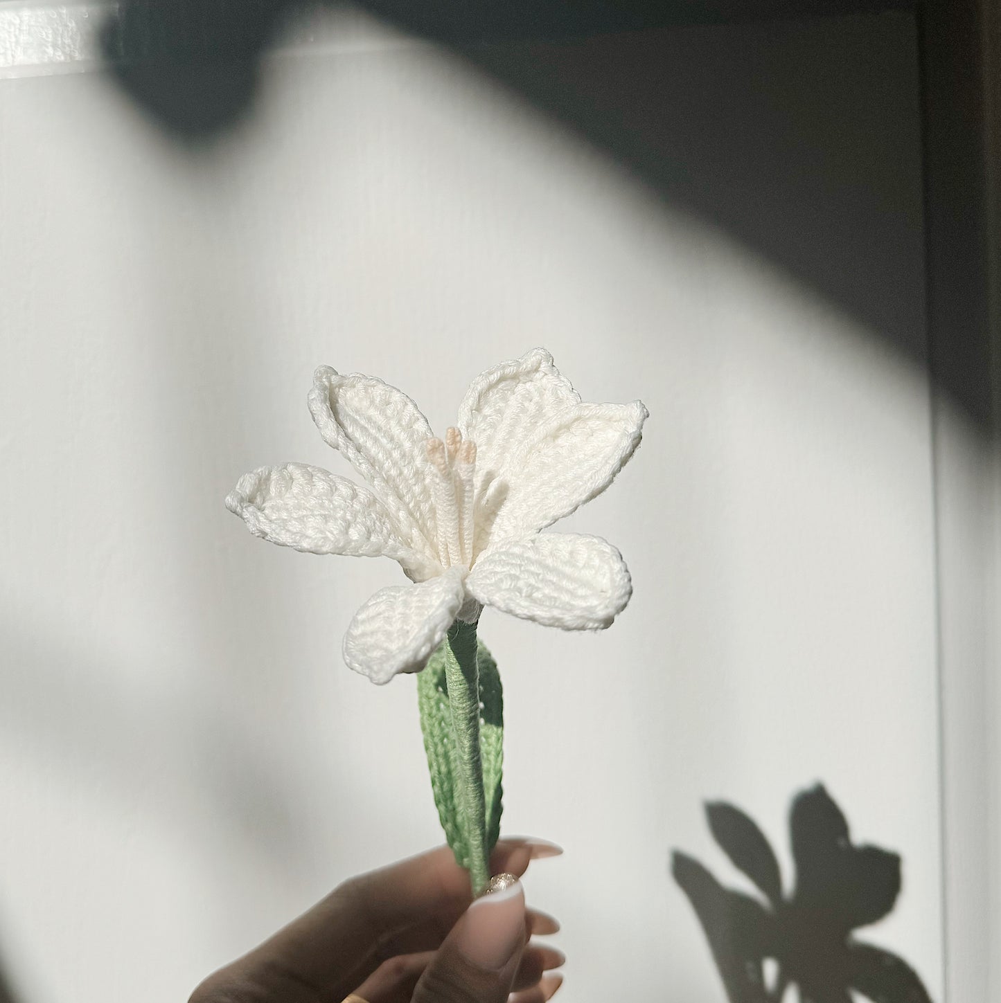 White Daylily