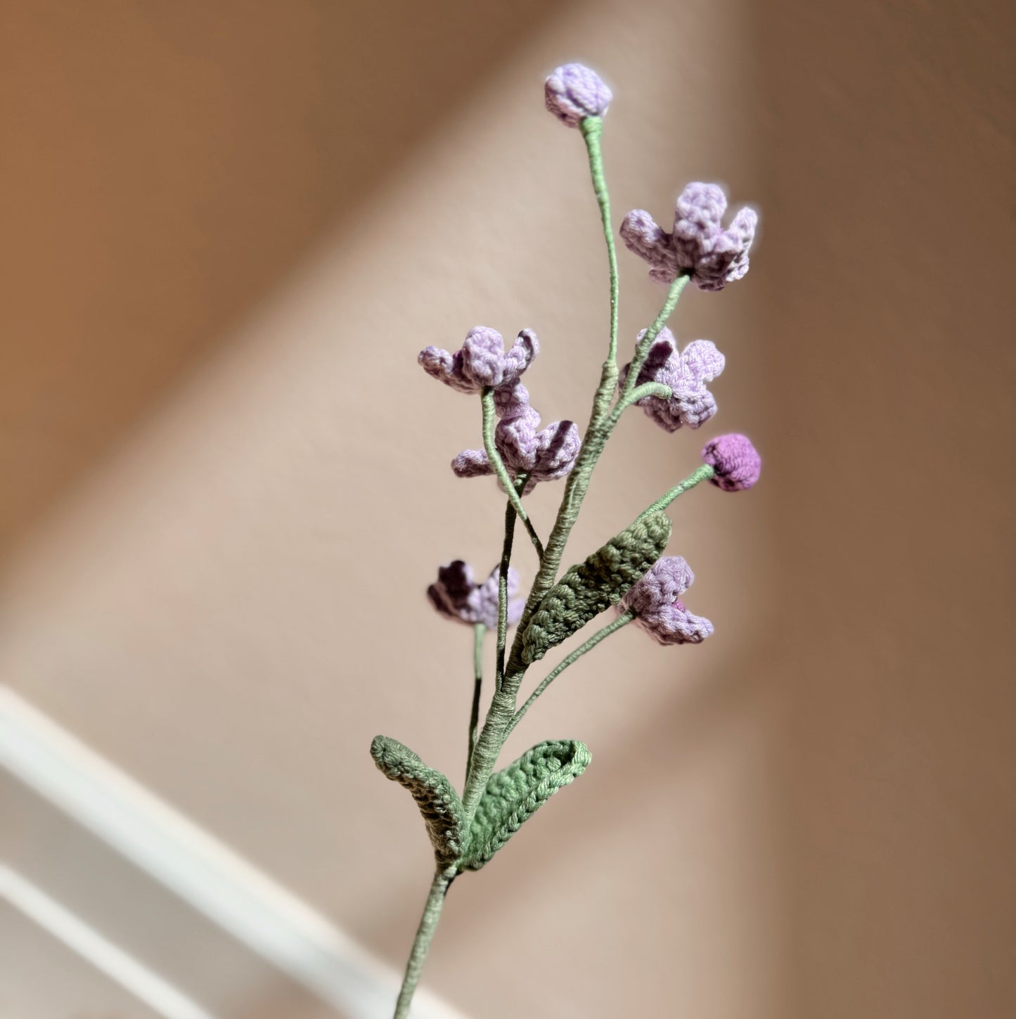 PURPLE OXYPETALUM