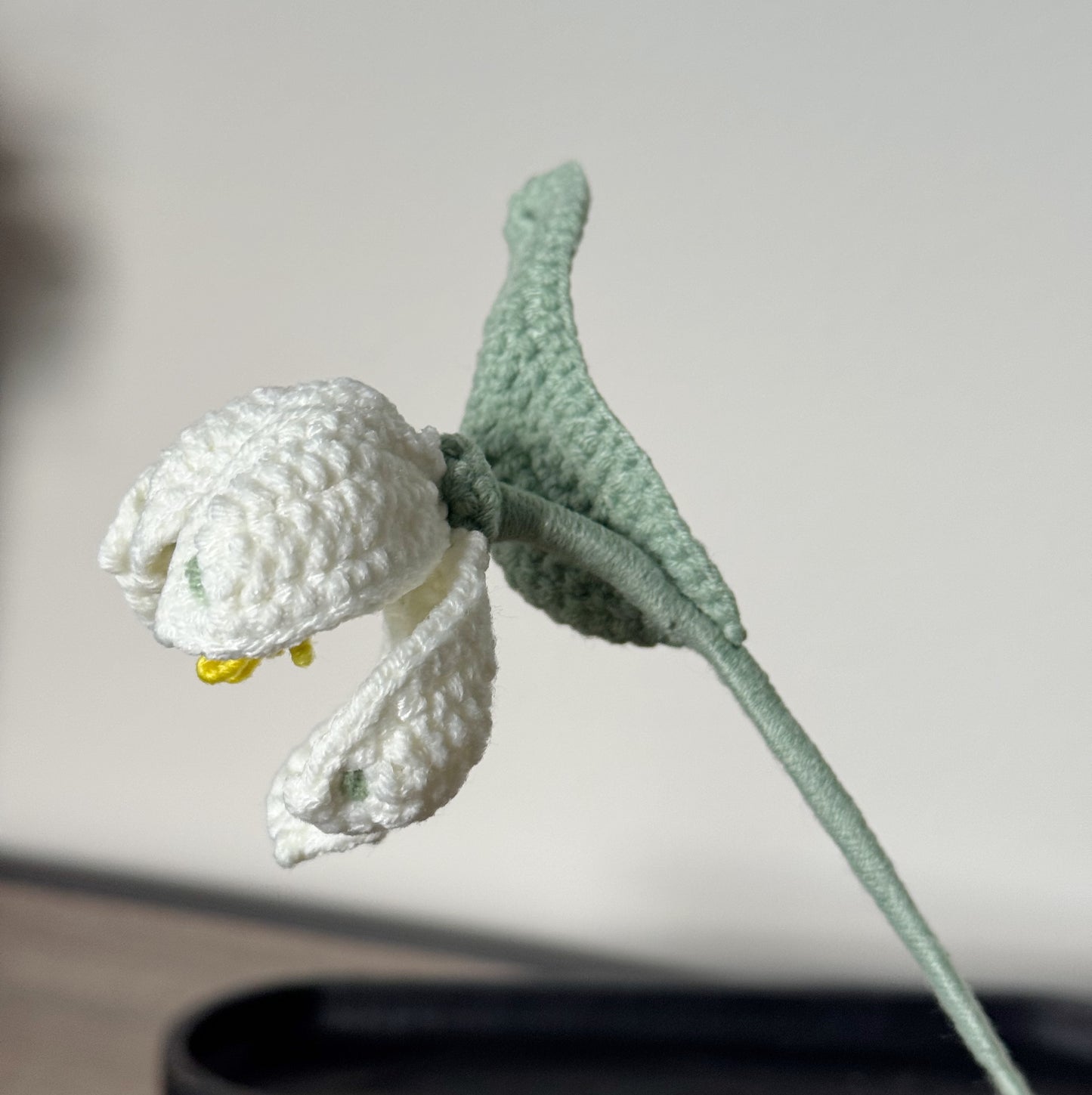Snowdrop