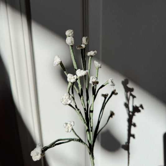 GYPSOPHILA