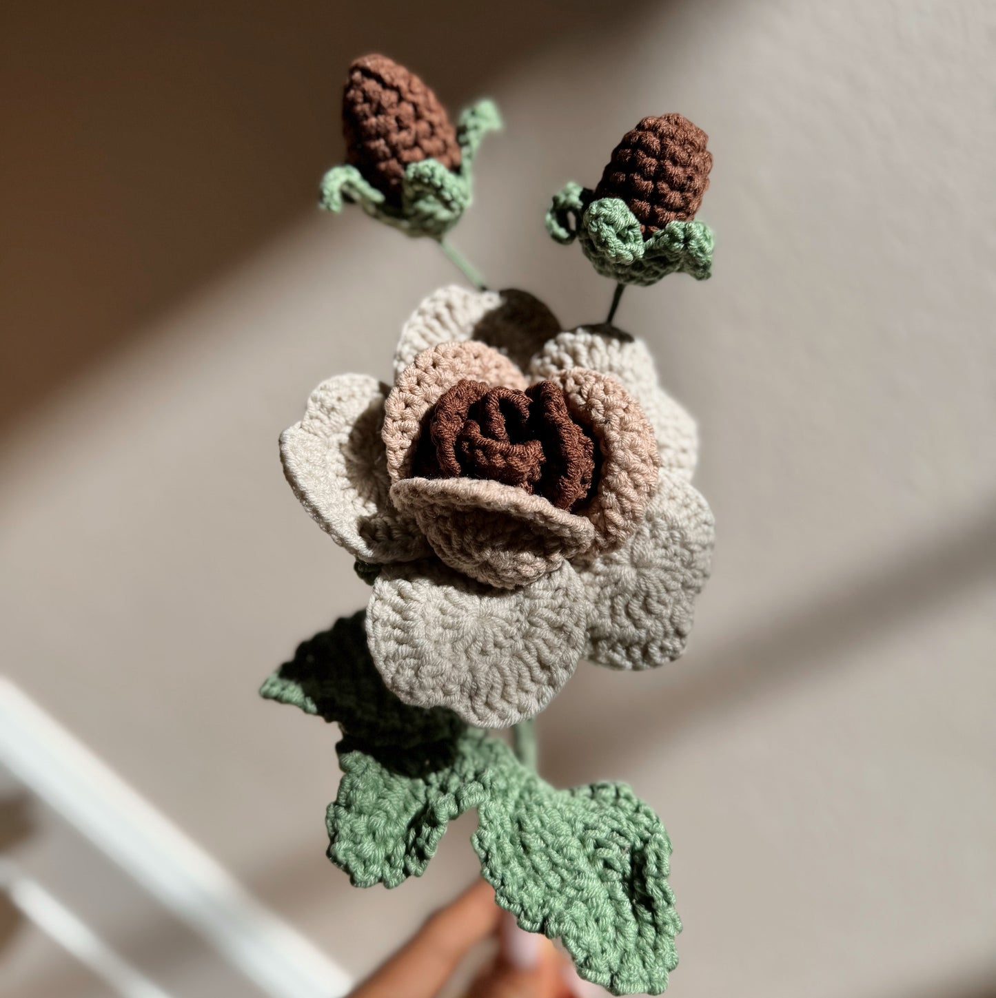 NEUTRAL OMBRÉ ROSE