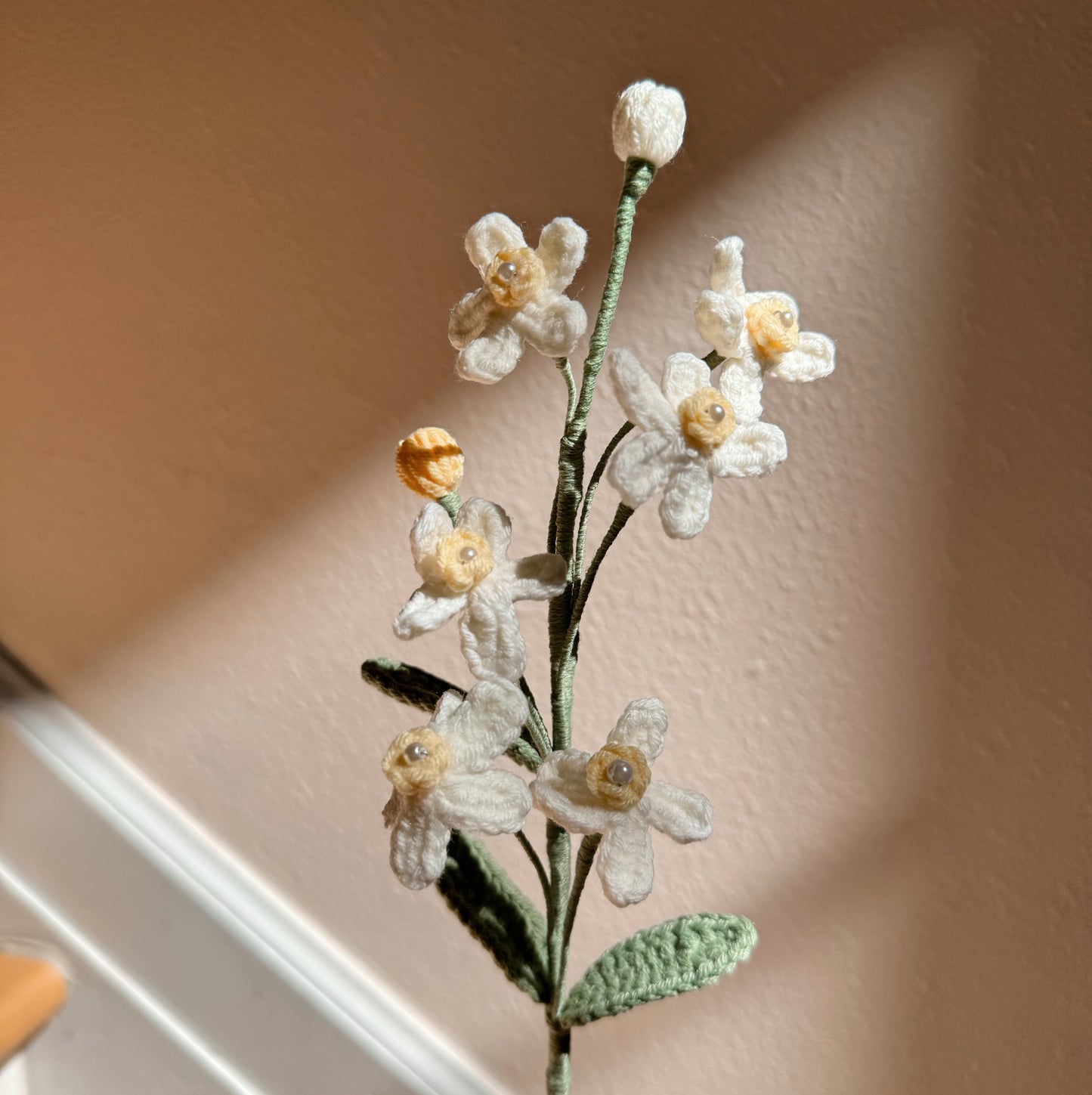 WHITE OXYPETALUM