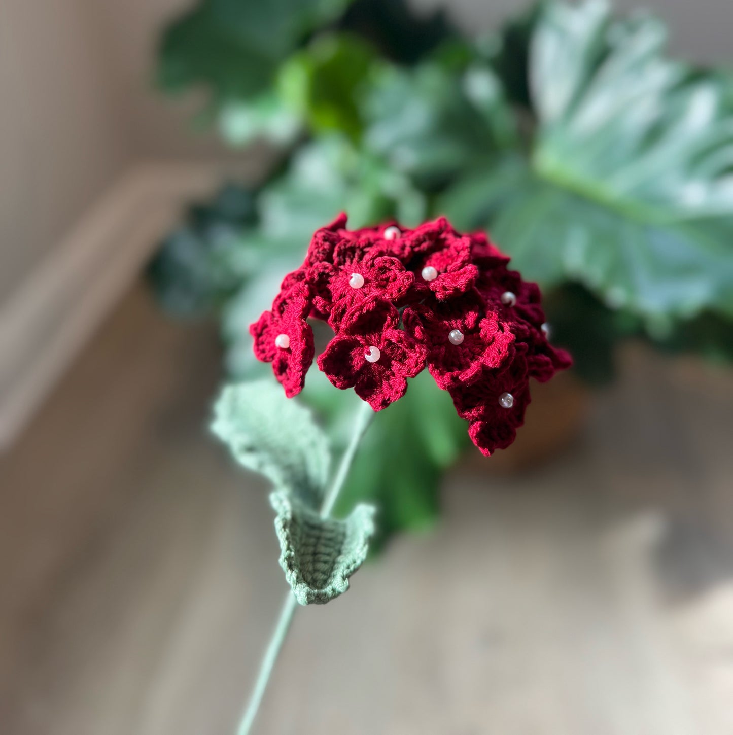 Red Hydrangea