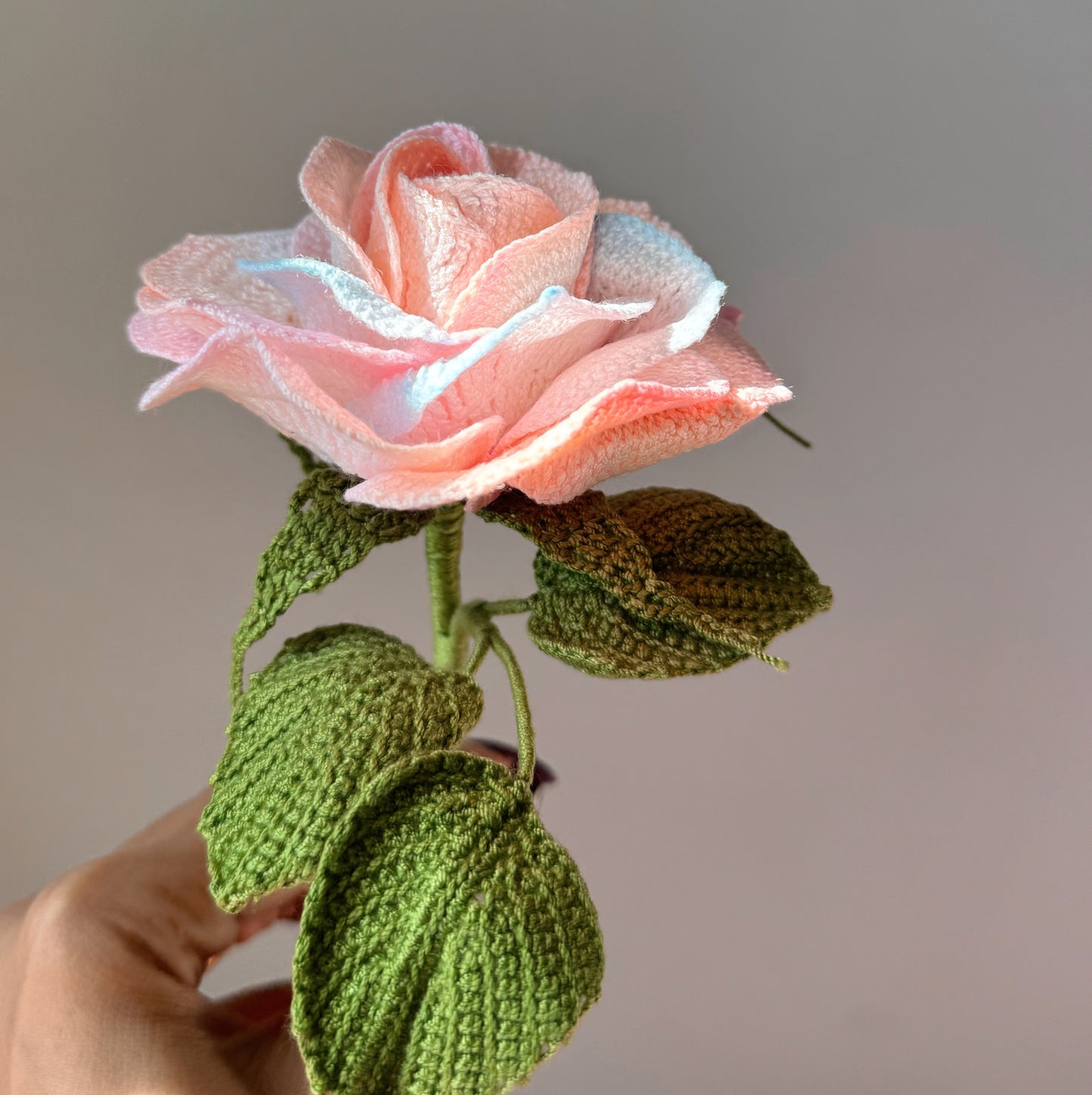 Detailed Rainbow Rose