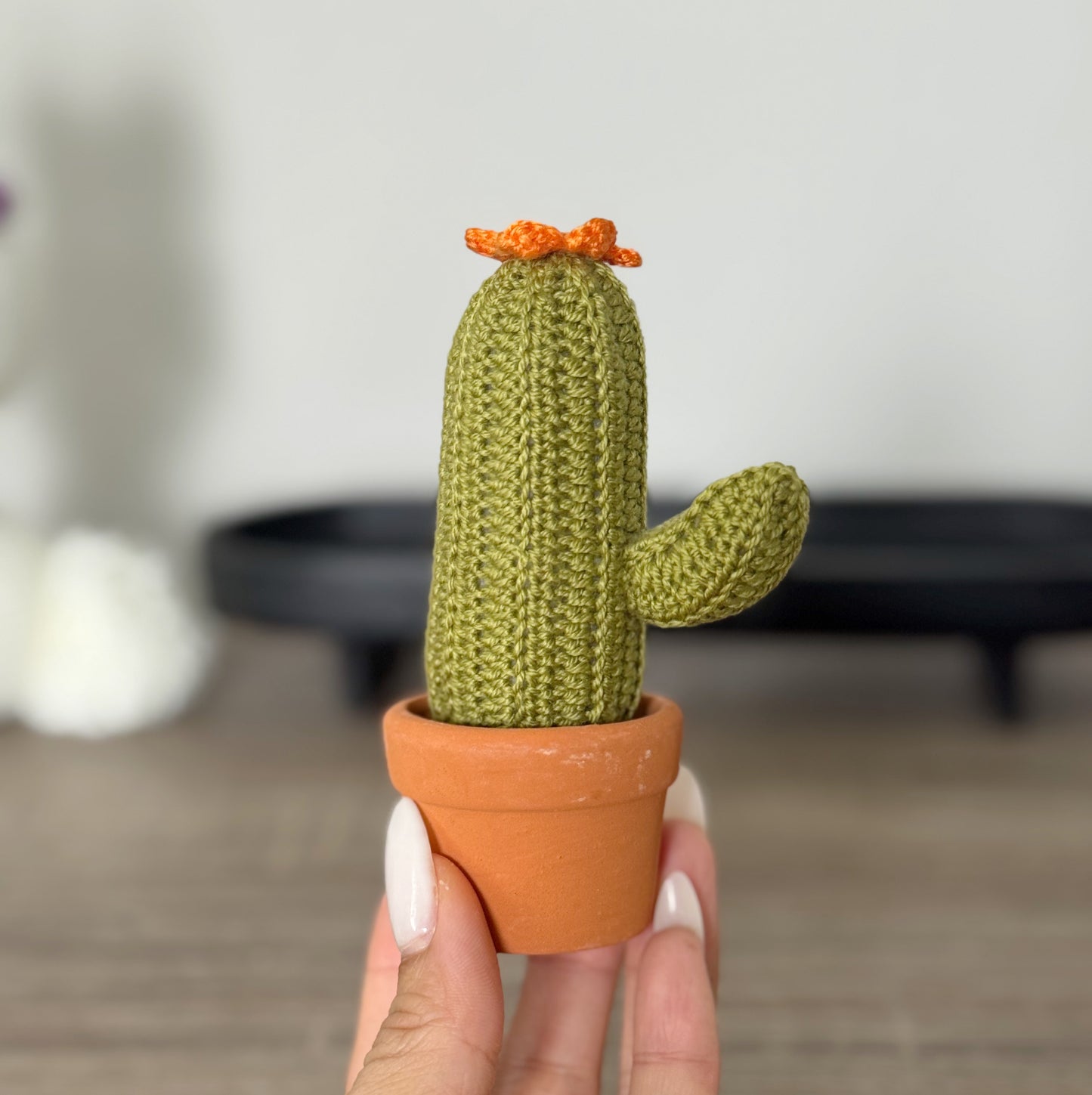 01 Cactus in the pot