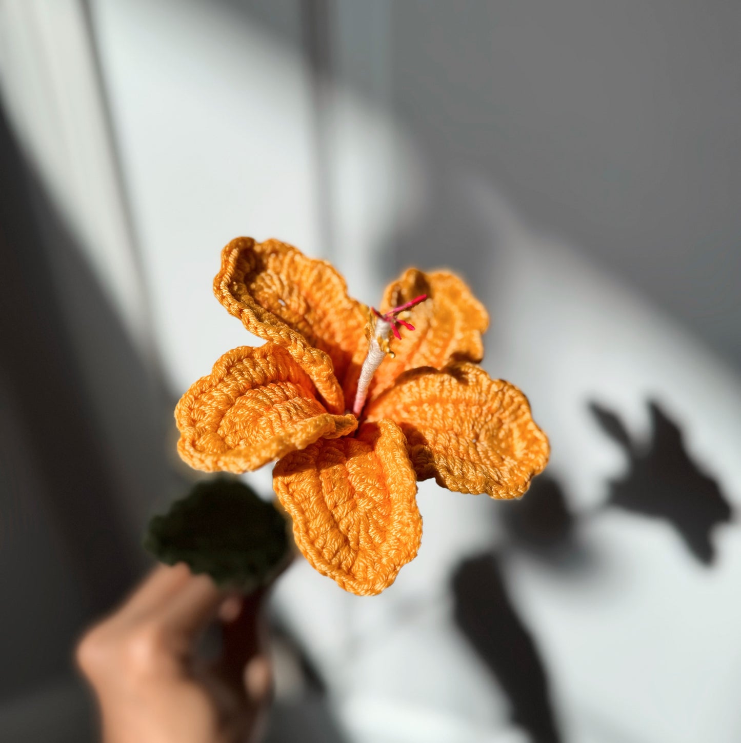 YELLOW HIBISCUS
