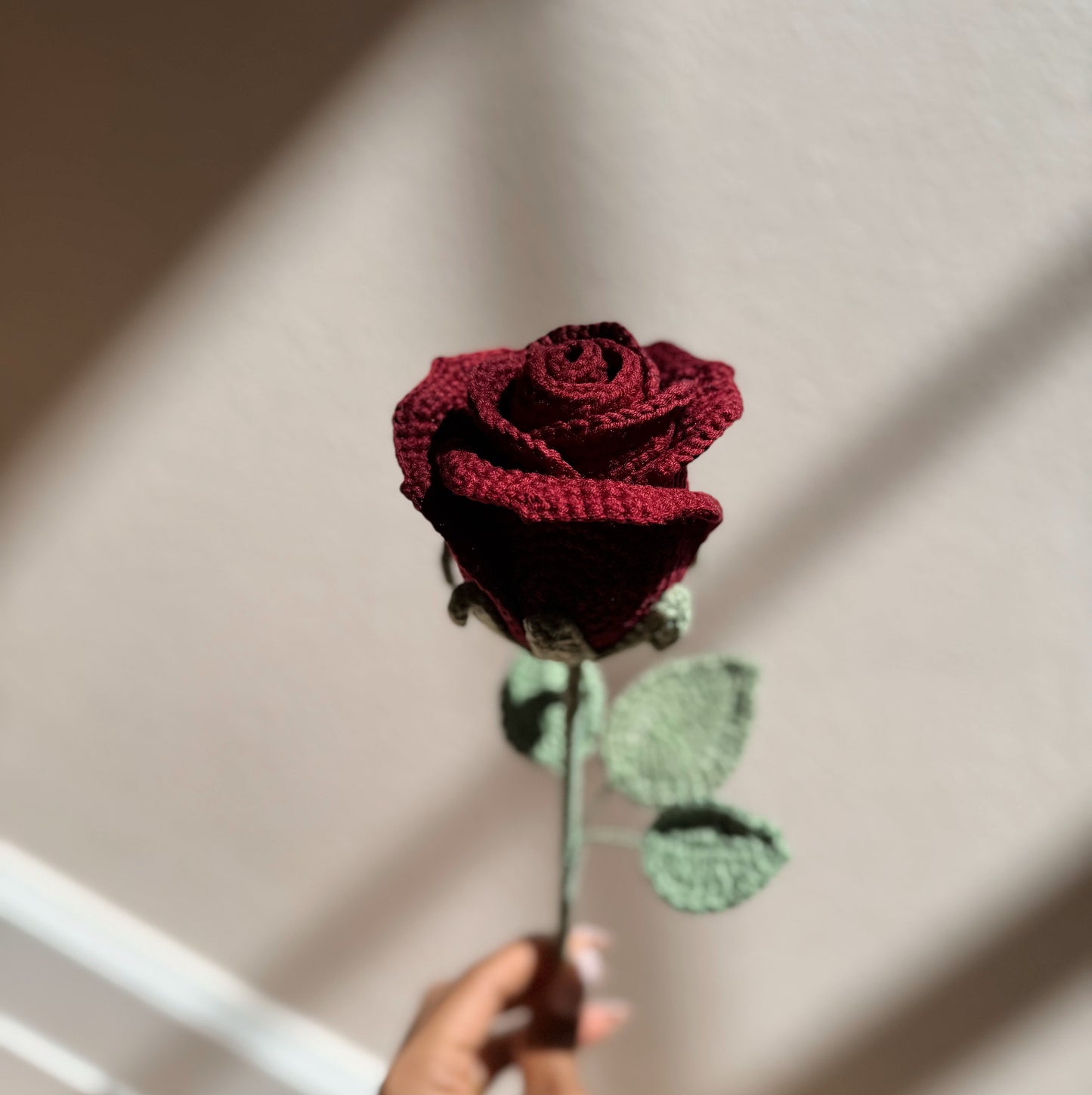 RED WINE ROSE