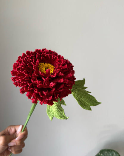 Detailed Rich Red Peony