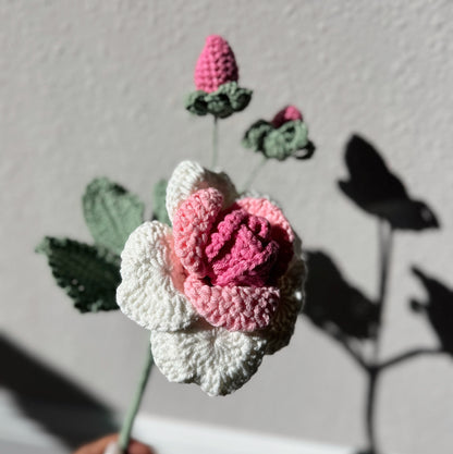 Ombré Pink Rose Branch