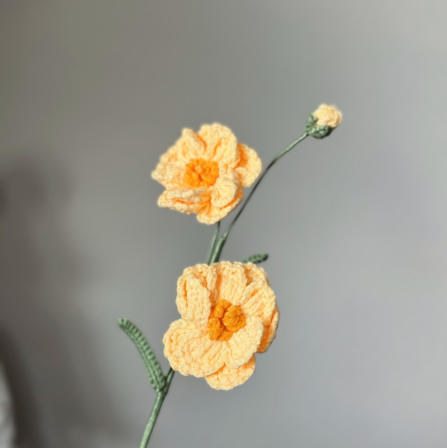 Yellow Butterfly Ranunculus