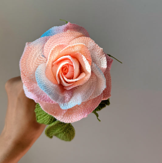 Detailed Rainbow Rose