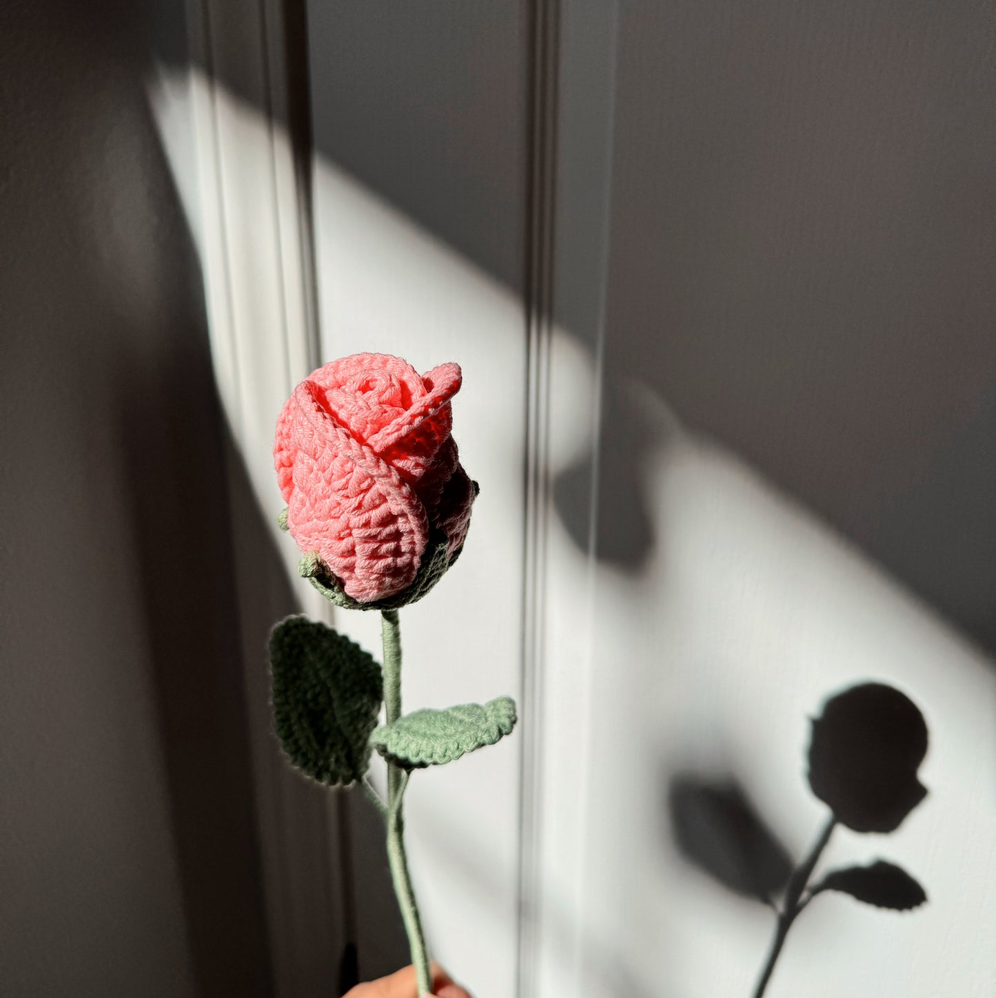 Pink Rose