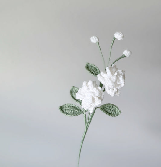 Jasmine