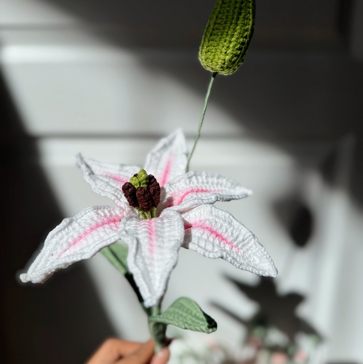 Jumbo White Lily