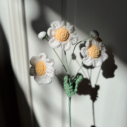 WHITE DAISY BRANCH