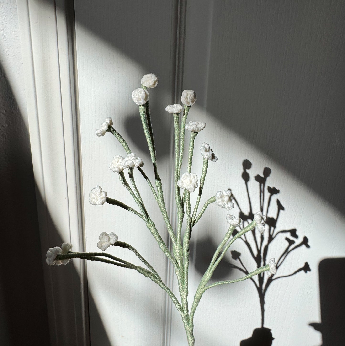 GYPSOPHILA