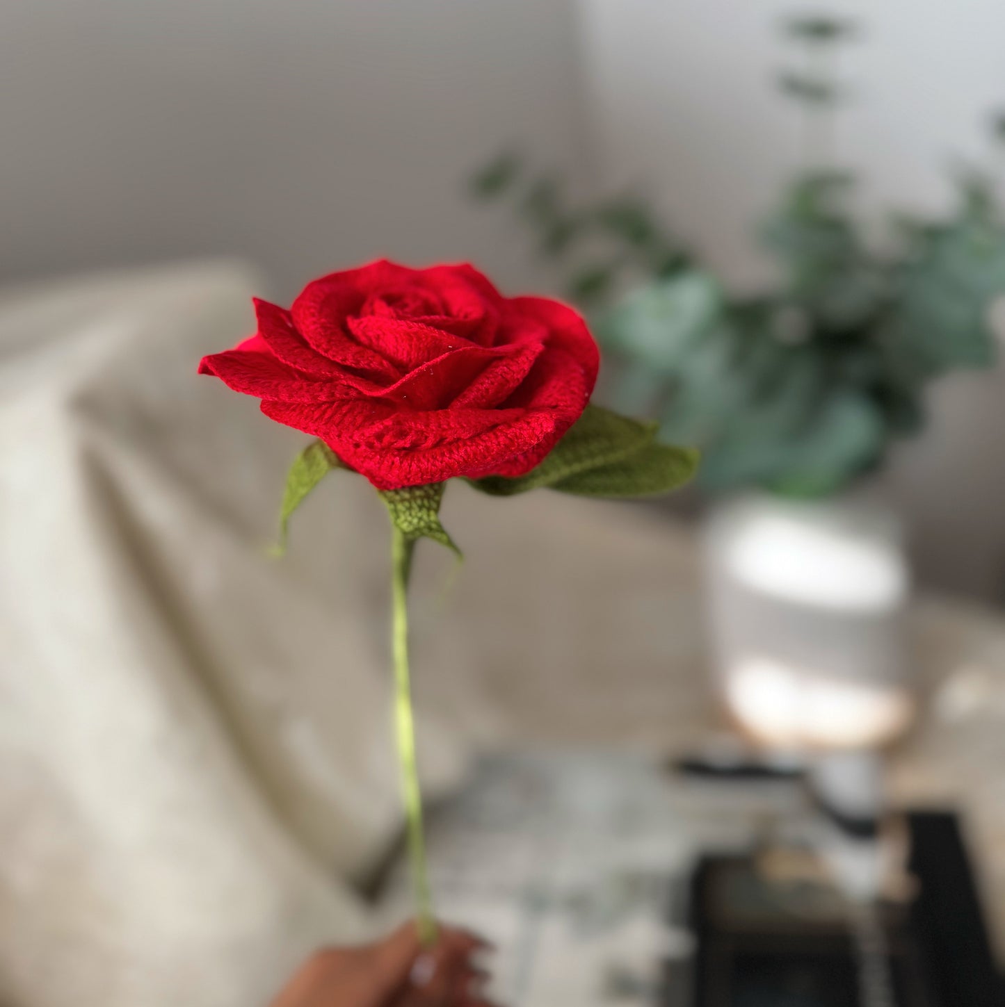 Detailed Red Rose