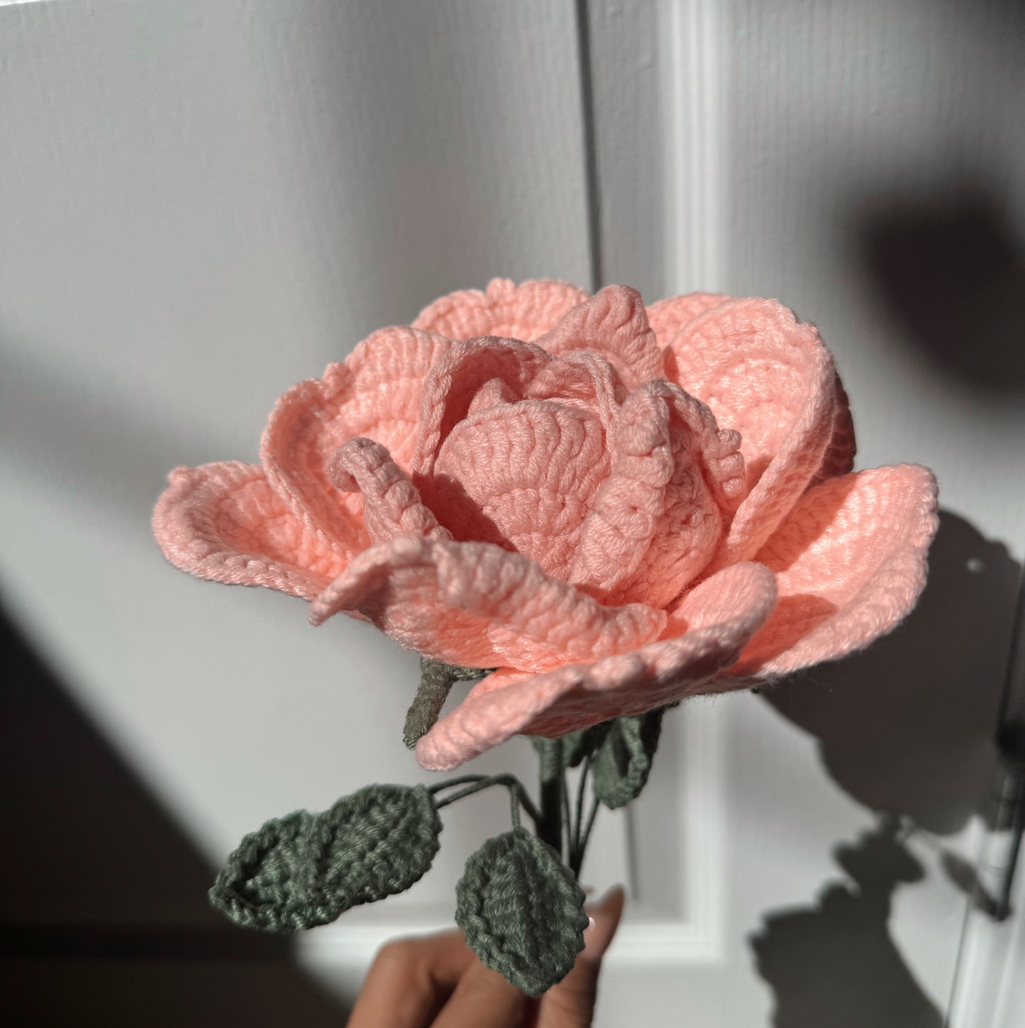 XL Coral Rose