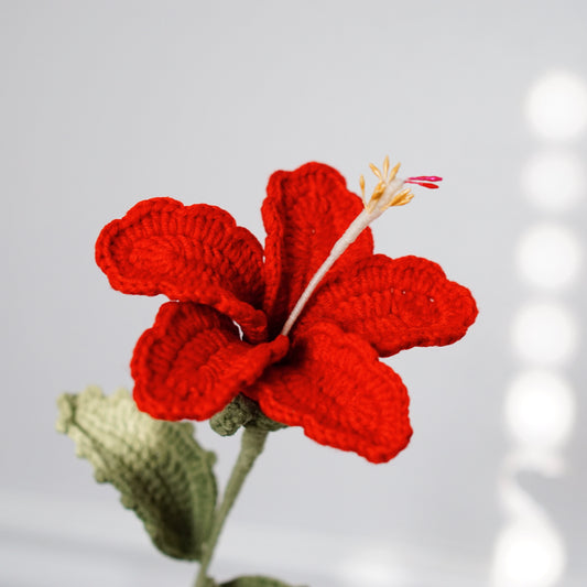 RED HIBISCUS