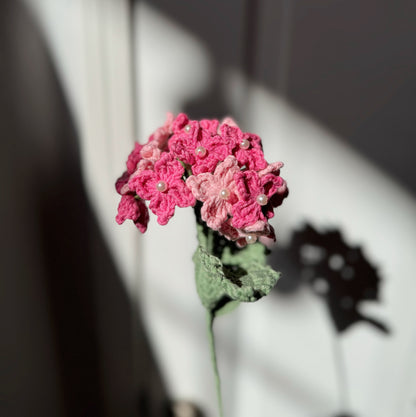 PINK HYDRANGEA